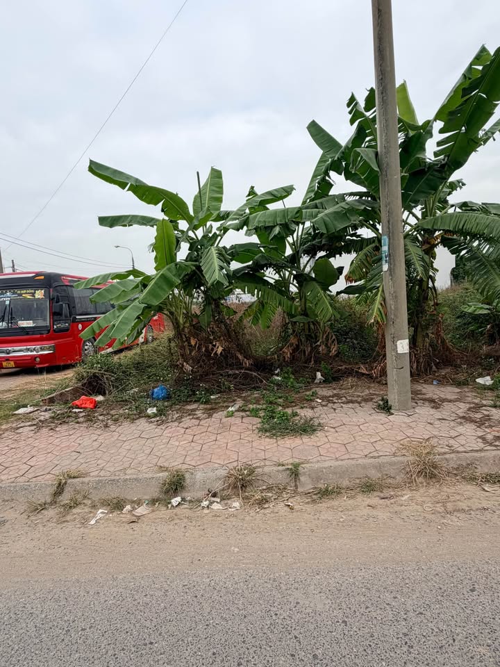 Đất nền Thủy Nguyên 100m² giá chỉ 3x triệu - Đầu tư sinh lời ngay!