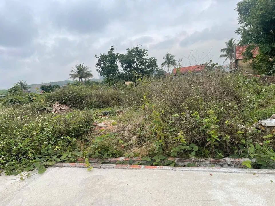 Đất thổ cư thôn Yên Mỹ Lê Lợi Hạ Long 183.6m² giá 800 triệu - Đầu tư sinh lời ngay!