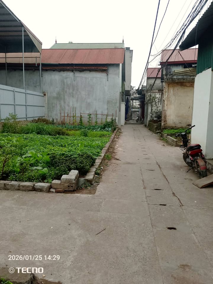 Đất Vạn Điểm Thường Tín 82m² giá 300 triệu - Lô góc ô tô đỗ cửa!