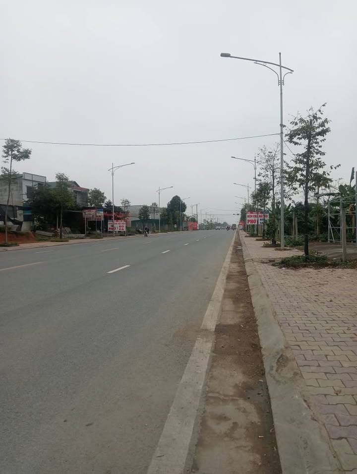 Đất mặt đường Quang Trung, Yên Sơn, Tuyên Quang 125m² giá 3 tỷ - Cơ hội đầu tư lý tưởng!