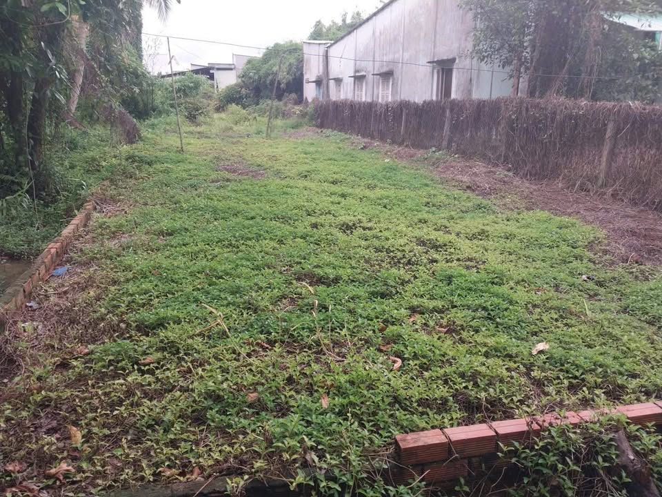 Đất Nền Trích Hợp Xây Trọ Quận Ninh Kiều 300m² giá 2 tỷ - Cơ hội đầu tư hấp dẫn!