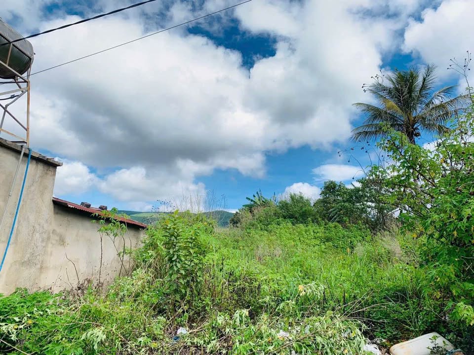 Đất nền Xã Phú Hội, Huyện Đức Trọng 183m² giá 1.5 tỷ - Sổ riêng chính chủ