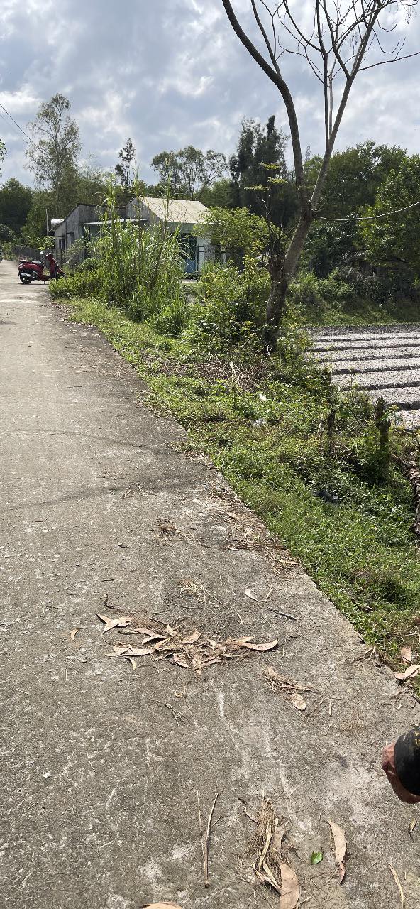 Nhà vườn rộng 5500m² tại Điện Bàn, Quảng Nam chỉ 9.9 tỷ - Đầu tư tuyệt vời!