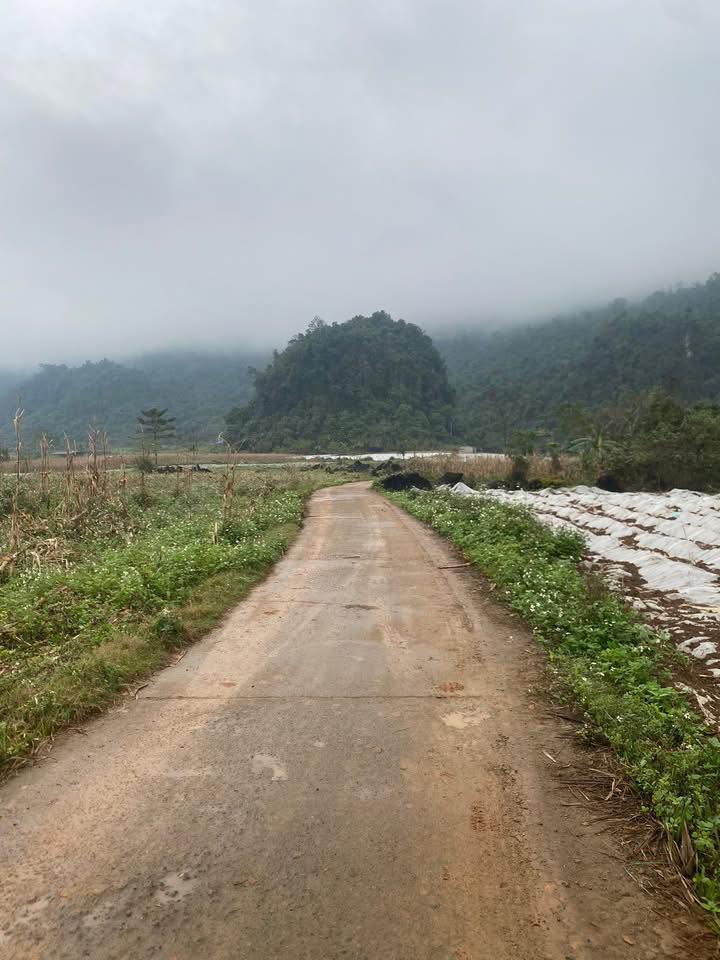 Đất nền Phong Quang, Vị Xuyên 500m² giá chỉ 1xx triệu - Cơ hội đầu tư hiếm có!