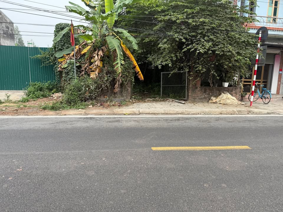 Đất FrontHouse 100m² Hồng Kỳ, Sóc Sơn, Hà Nội - Kinh doanh sầm uất ngay trục chính!