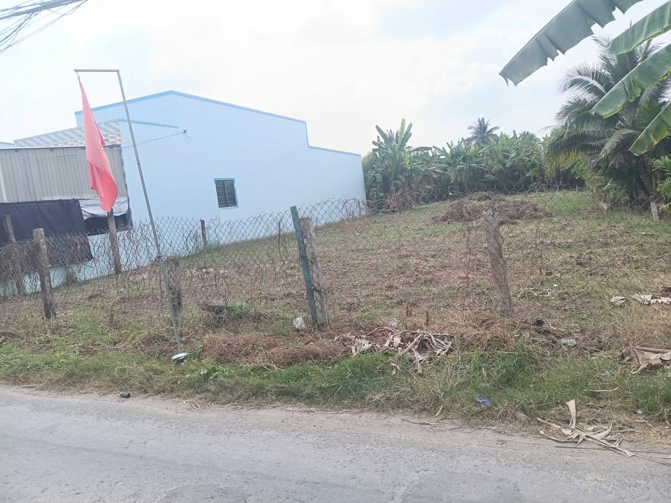 Đất nền 900m² tại Ấp Hòa Lạc Trung, Bình Ninh - Giá chỉ 4.8 tỷ - Cơ hội đầu tư tuyệt vời!