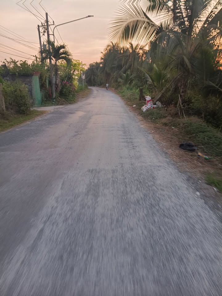 Đất mặt tiền Ấp Bình Hưng, Xã Bình Phan, Huyện Chợ Gạo, Tiền Giang – Diện tích 896m², giá 1.12 tỷ, vị trí đắc địa!