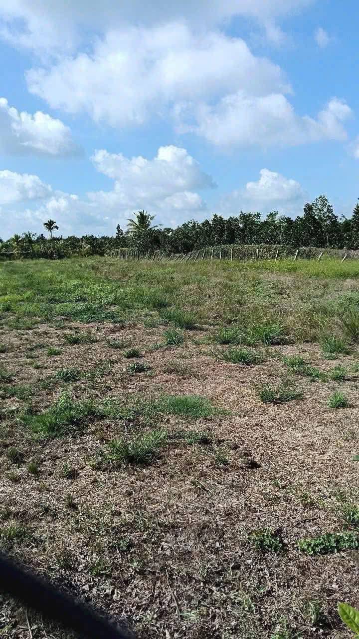 Đất nền 2000m² tại xã Long Khánh, Cai Lậy - Giá cực tốt 2.3 tỷ VND!