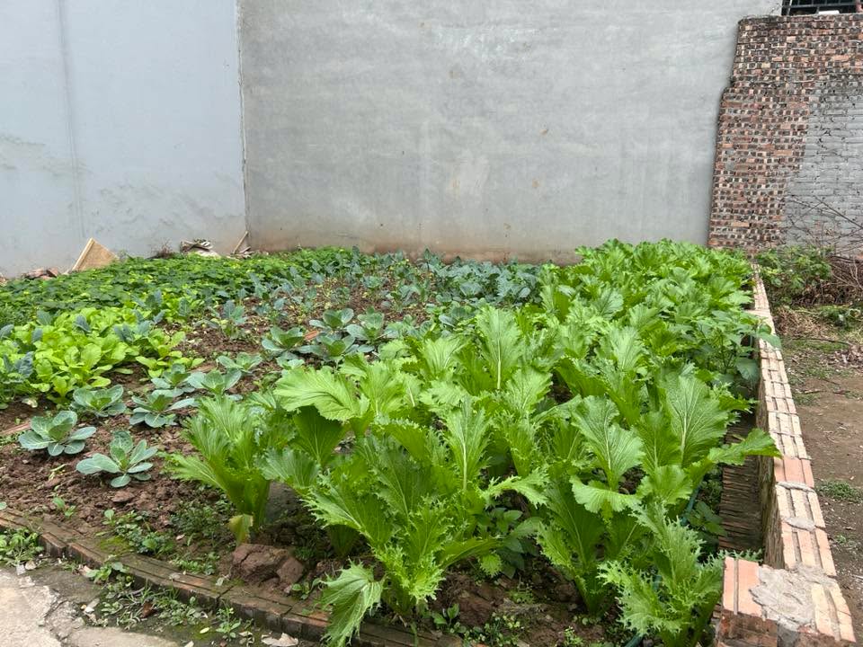 Đất Cự Khối, Long Biên 60m² giá 7 tỷ - Chính chủ bán gấp!