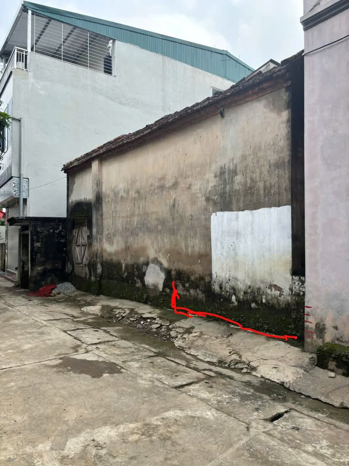 Đất nền Tân Lập, Đan Phượng 50m² giá 6 tỷ - Sổ đỏ chính chủ giao ngay!