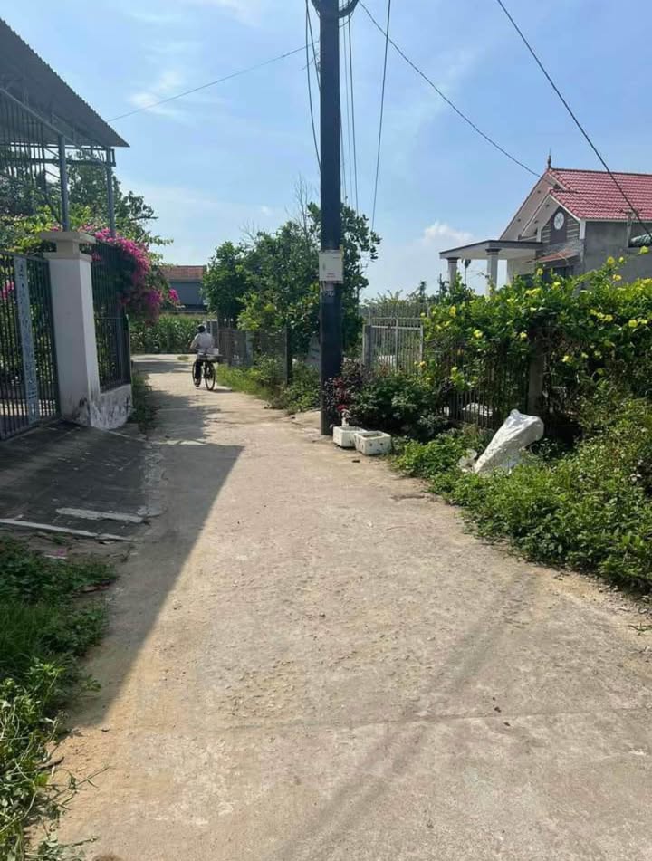 Lô Đất Vườn Tam Xuân 1 1300m² giá 700 triệu - Tiềm năng phát triển lớn!