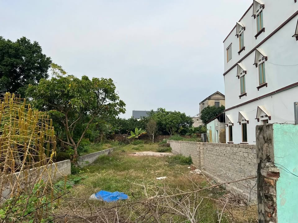 Đất nền Tân Sơn, Lục Ngạn, 215m² giá 1.6 tỷ - Cơ hội đầu tư tuyệt vời!