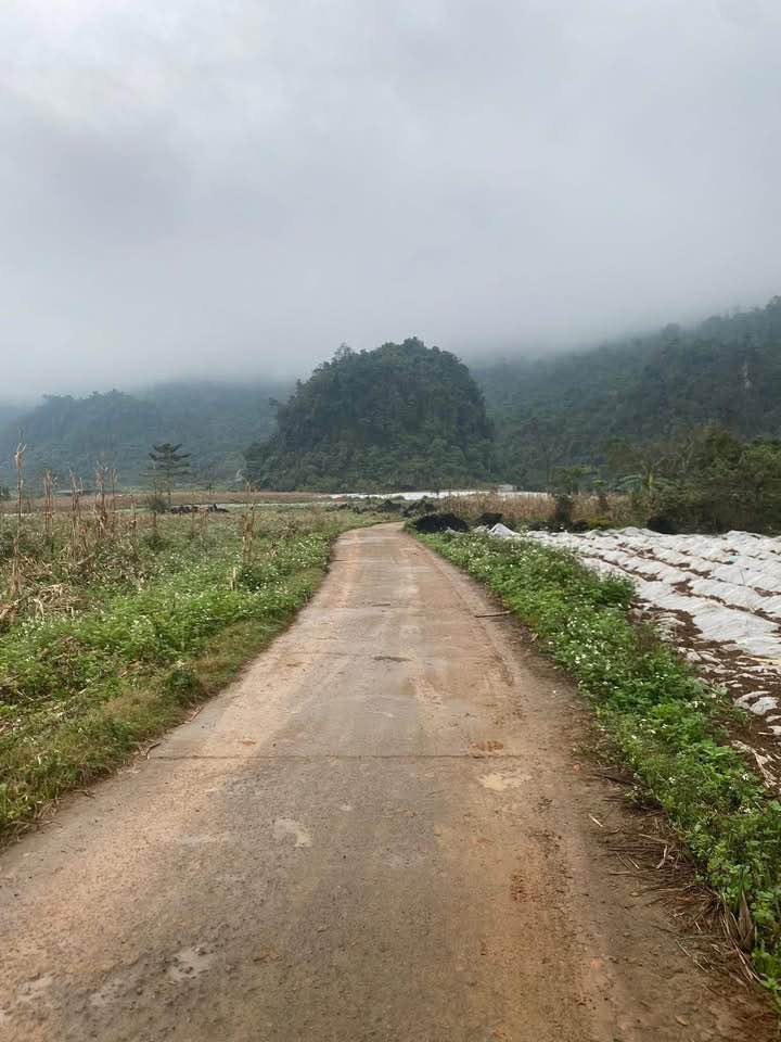 Đất nền Huyện Bắc Quang 500m² giá 100 triệu - Sổ đỏ chính chủ