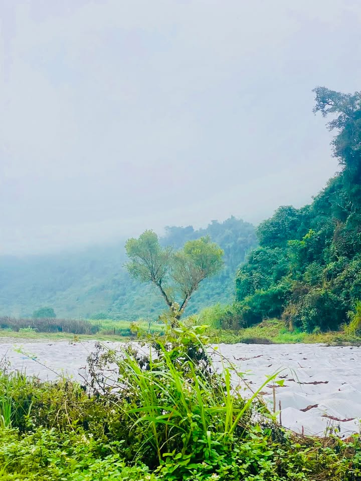 Đất nền Phong Quang 500m² giá 190 triệu - Cơ hội không thể bỏ lỡ!