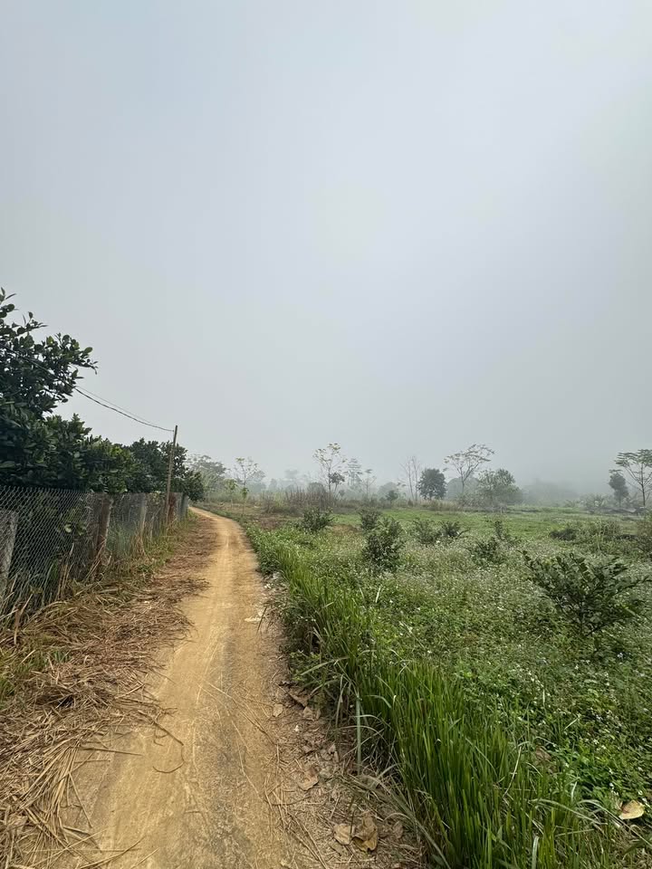 Đất nền Phong Quang, 5400m² giá 162 tỷ - Cơ hội đầu tư tuyệt vời!