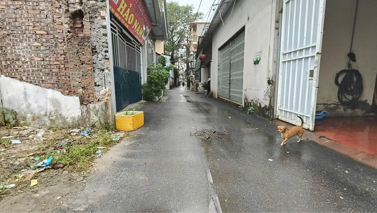 Đất nền Kim Thiều Từ Sơn 60m² giá 2 tỷ - Đầu tư sinh lời hấp dẫn!