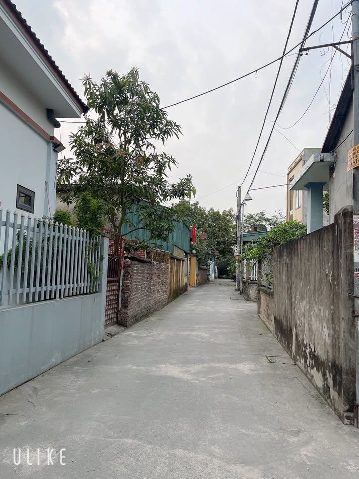 Đất nền Cẩm Phú Gia 60m² giá chỉ 700 triệu - Sổ đỏ chính chủ!