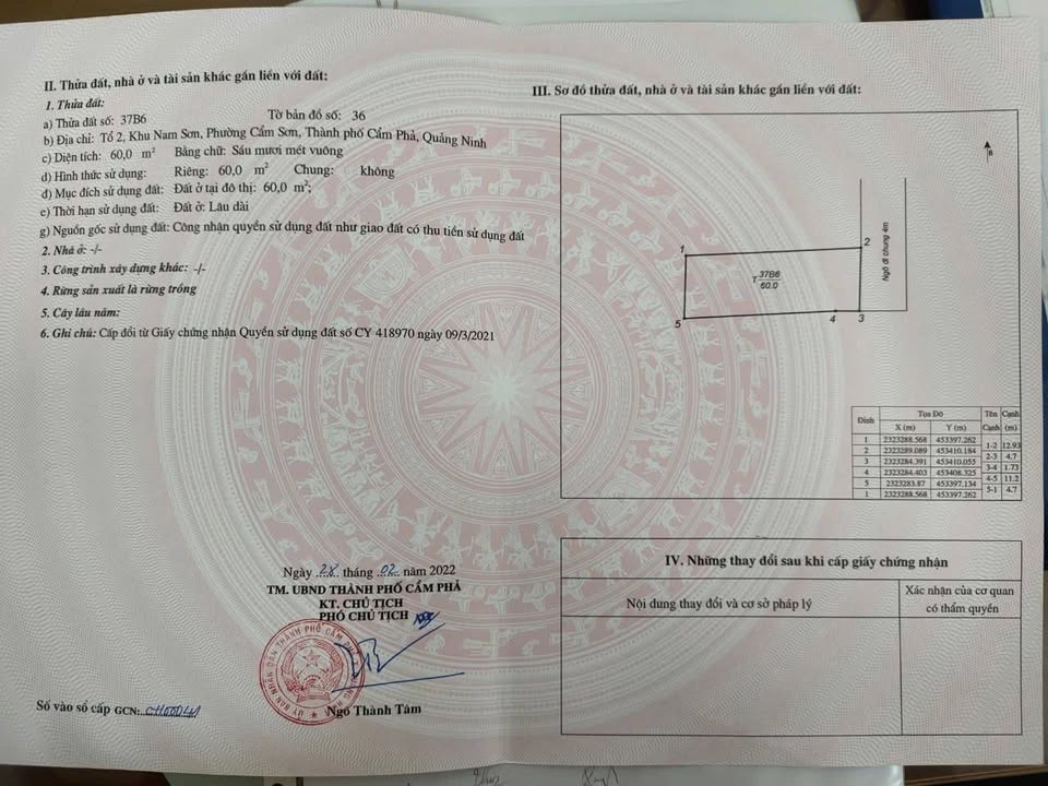 Đất nền Phường Cẩm Đông - 60m² chỉ 1.15 tỷ - Thương lượng được!