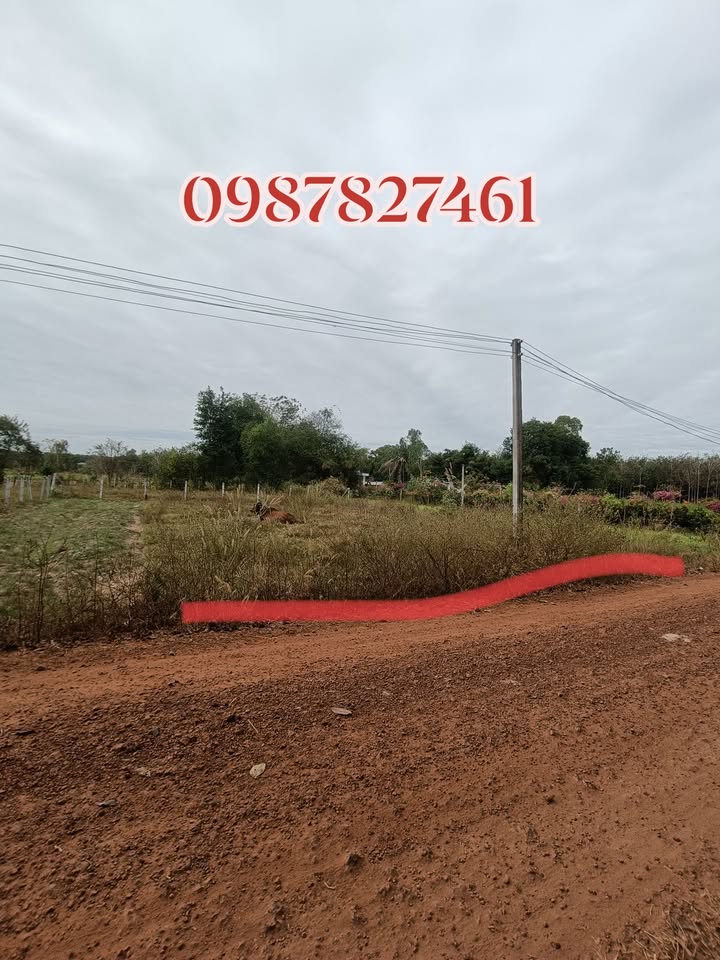 Đất nền Phước Vinh, Châu Thành, Tây Ninh 135m² giá chỉ 190 triệu - Cơ hội đầu tư hấp dẫn!