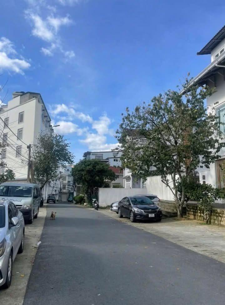 Đất nền Đường Trần Hưng Đạo Đà Lạt 970m² giá 50 tỷ - Pháp lý rõ ràng, vị trí trung tâm!