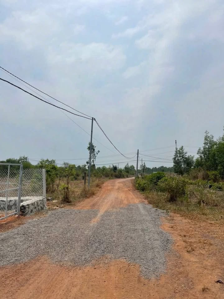 Đất nền sổ đỏ Xã Trị An, Huyện Vĩnh Cửu 450m² giá 760 triệu - Cơ hội đầu tư tuyệt vời!