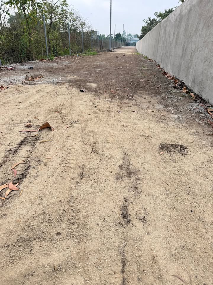 Đất thổ cư Ấp 4 Sông Trầu 130m² giá 900 triệu - Sổ đỏ chính chủ!