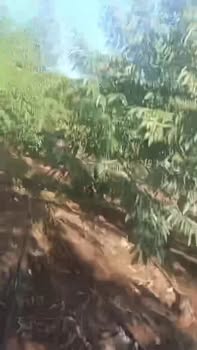 Đất nền tại xã Ia Dom, huyện Đức Cơ, 860m², giá chỉ 1 tỷ - Sổ hồng chính chủ!