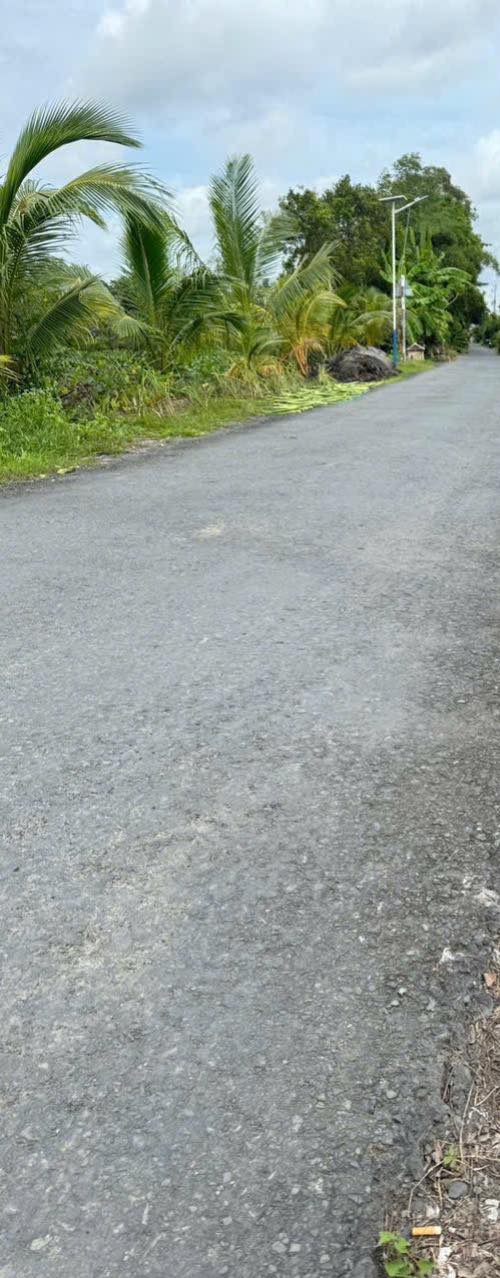 Đất nền xã Phú Long 150m² giá 350 triệu - Đầu tư sinh lời ngay!