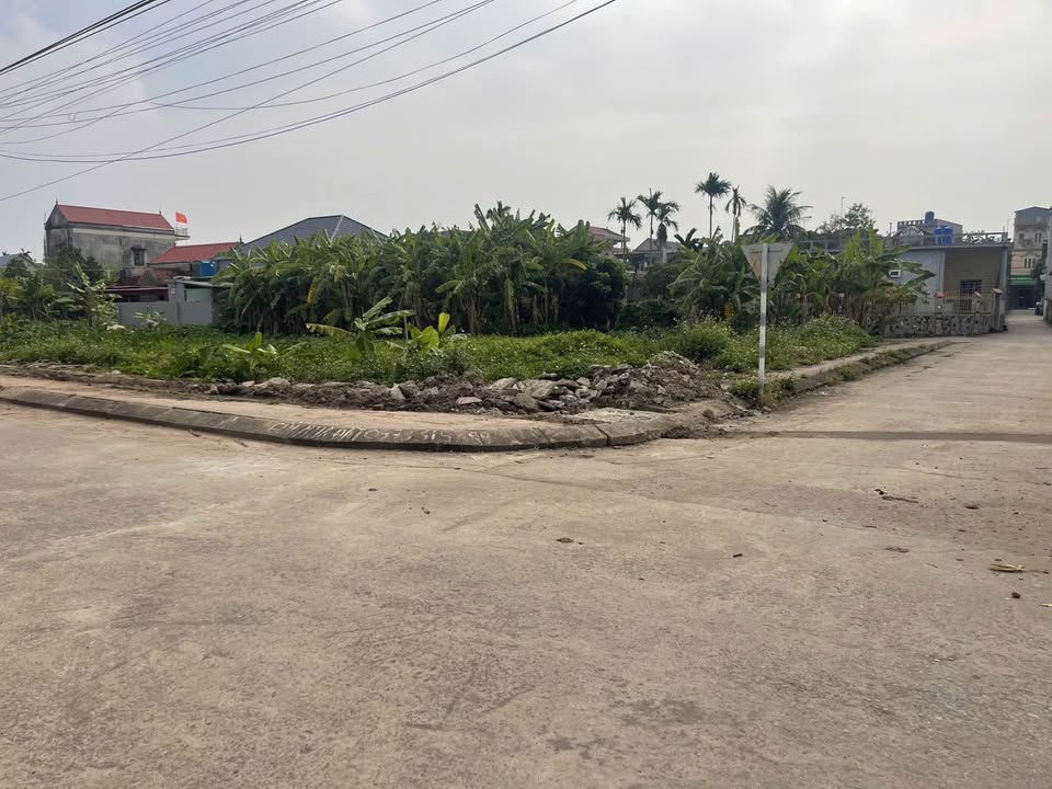 Đất nền Thái Thịnh, Thái Thụy 101m² giá 1 tỷ - Vị trí đắc địa, ô tô tránh!