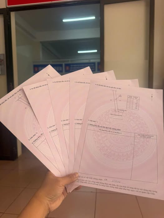 Đất nền Bàu Chinh, Châu Đức 245m² giá 800 triệu - Cơ hội đầu tư hấp dẫn!