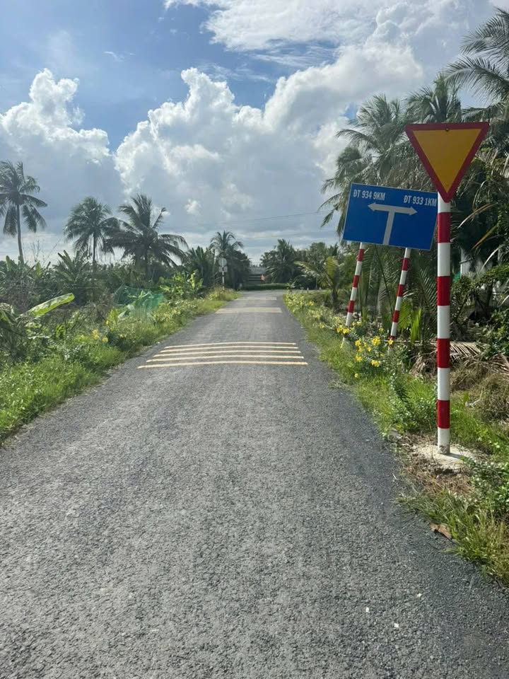 Đất nền 2 mặt tiền huyện lộ 28, xã Tân Thạnh, 1200m² giá chỉ 400 triệu - Cơ hội đầu tư tốt!