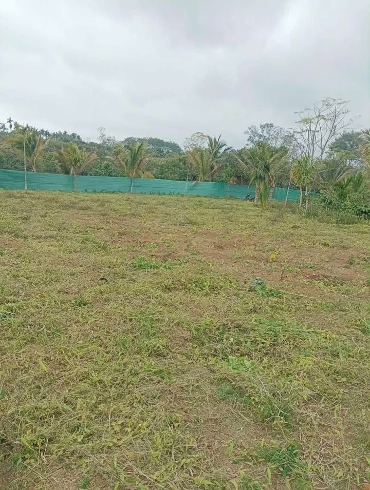 Đất thổ cư Phường Thống Nhất 1260m² giá 650 triệu - Cơ hội đầu tư không thể bỏ lỡ!