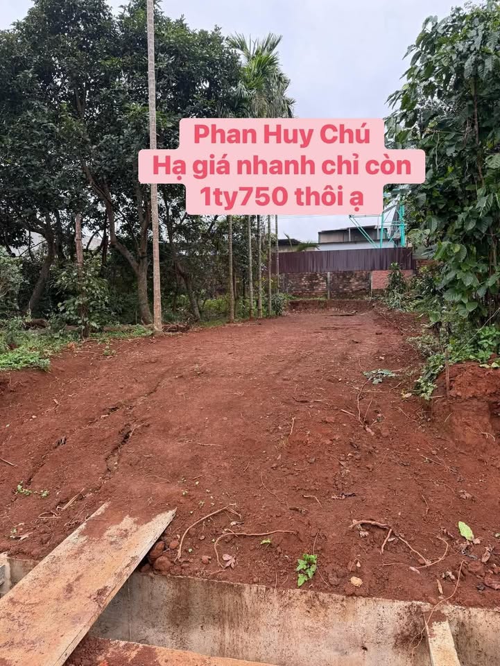 Đất thổ cư Phan Huy Chú, Đạt Hiếu 130m² giá 1.75 tỷ - Đường lớn, vị trí tiềm năng!