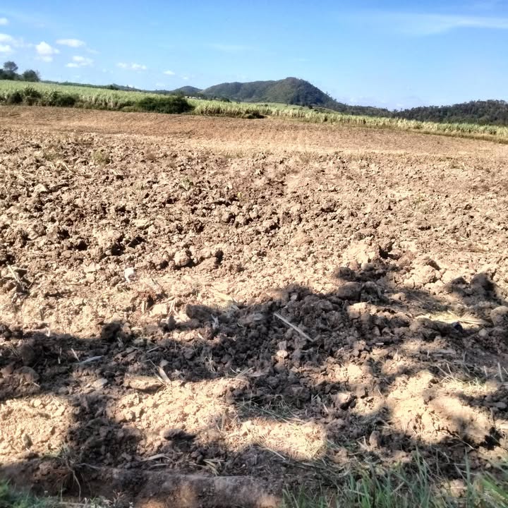 Đất nền xã Ea Sô 16.000m² giá 1.7 tỷ - Tiềm năng đầu tư lớn!