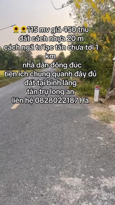 Đất nền 115m² tại Bình Lãng, Tân Trụ - Giá chỉ 450 triệu, vị trí thuận lợi!