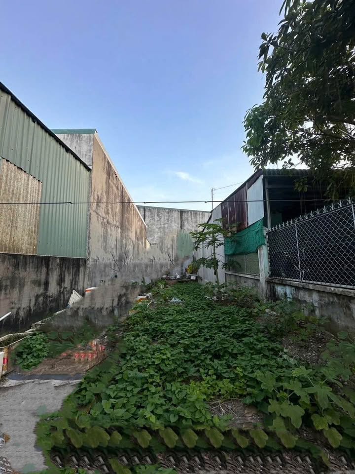 Đất Khu Phố 3 Trảng Dài 100m² giá 1.099 tỷ - Vị trí đẹp, tiện ích đầy đủ!