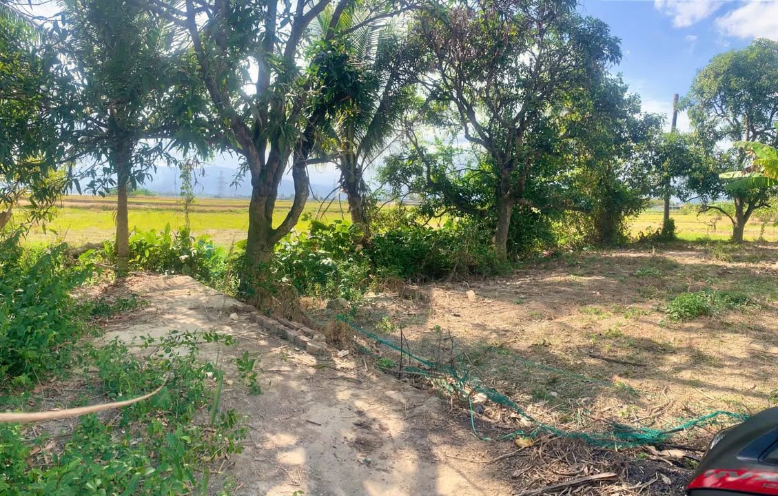 Đất nền Diên Toàn 500m² giá 3.5 tỷ - Sổ hồng chính chủ, view cánh đồng!