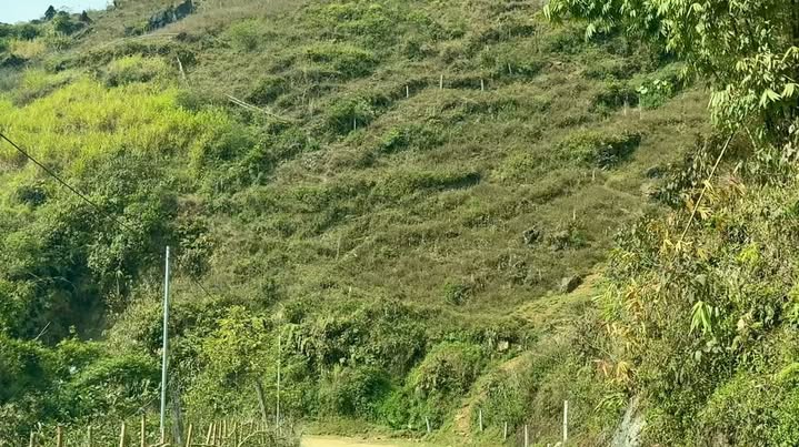 Đất nền tổ 7, phường Sa Pa, 7400m² - Tiềm năng sinh lời lớn tại trục du lịch Sapa!