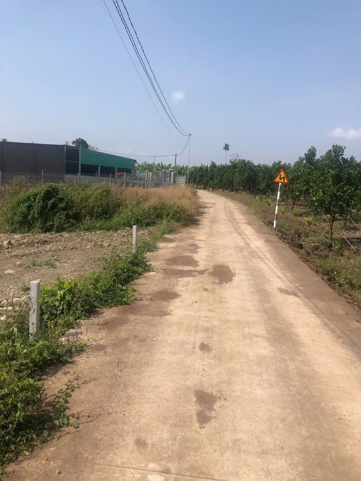 Đất nền Nghĩa Thành, Châu Đức 139m² giá 495 triệu - Sổ riêng, ô tô vào tận nơi!