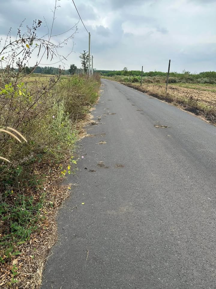 Đất thổ cư Nghĩa Thành 500m² giá chỉ 950 triệu - Đường nhựa, gần KCN!