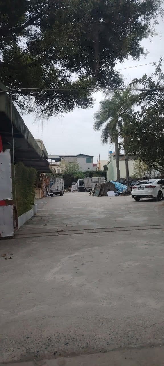 Cho thuê kho xưởng 5.000m² tại xã Tân Chi - Giá chỉ 300 triệu/tháng!