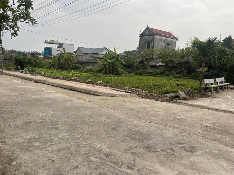 Đất nền Thái Thịnh, Thái Thụy 100m² giá 1.1 tỷ - Lô góc thông thoáng, vị trí đắc địa!