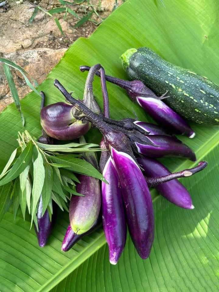 Đất nền thổ cư 270m² tại Thị trấn Mãn Đức - Giá thỏa thuận - Cơ hội đầu tư hấp dẫn!