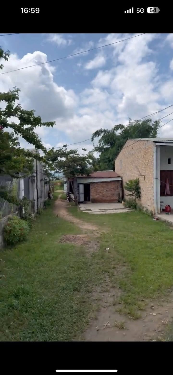 Đất mặt tiền Đào Duy Từ, Đăk Hà, 280m² giá 800 triệu - Cơ hội đầu tư hiếm có!