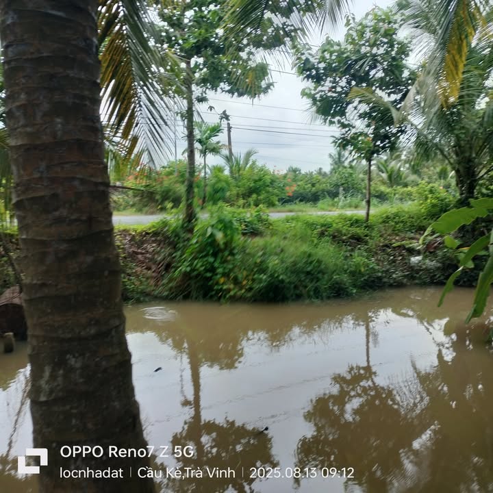 Đất vườn cam 3500m² mặt tiền kênh tại ấp Ô Tưng B, giá 1.4 tỷ - Cơ hội đầu tư hấp dẫn!