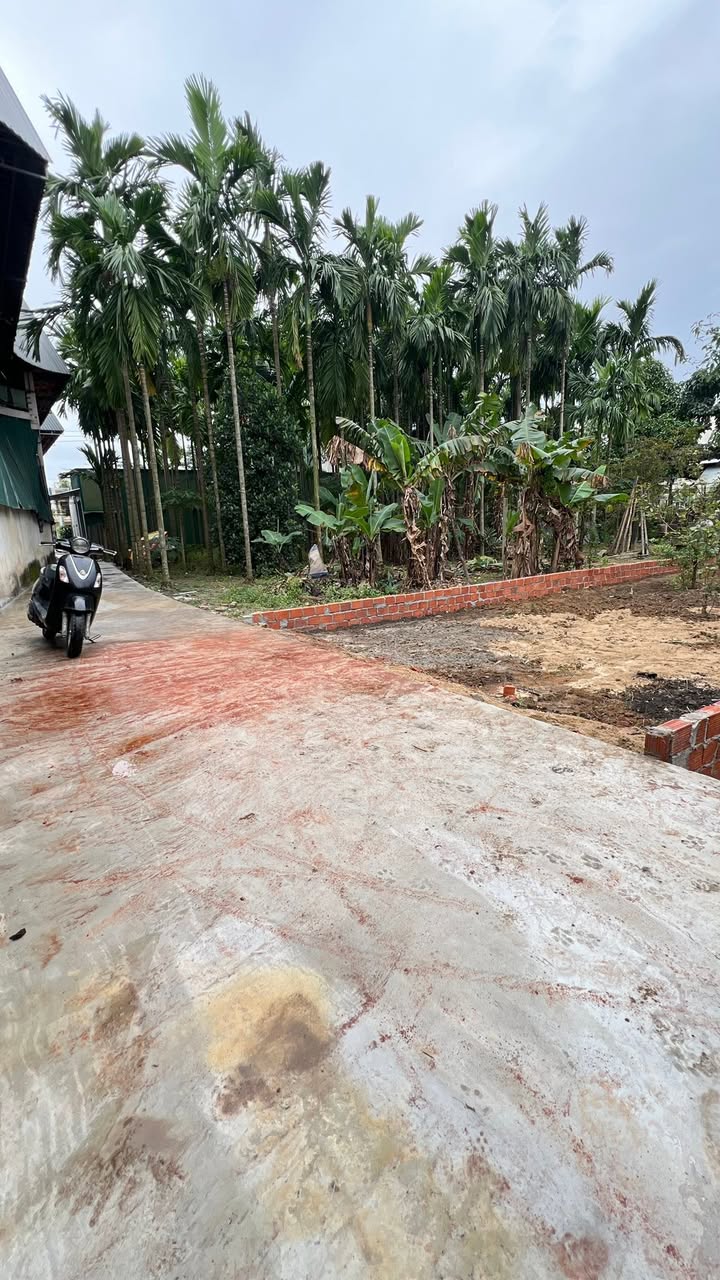 FrontHouse Nguyễn Trãi Quảng Ngãi 100m² giá 1.1 tỷ - Đầu tư sinh lời ngay!