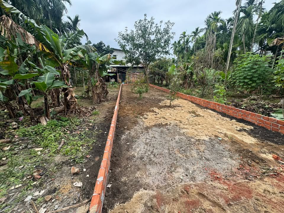 Đất nền Nguyễn Trãi, Phường Nghĩa Lộ 100m² giá 1.190 triệu - Đầu tư sinh lời ngay!