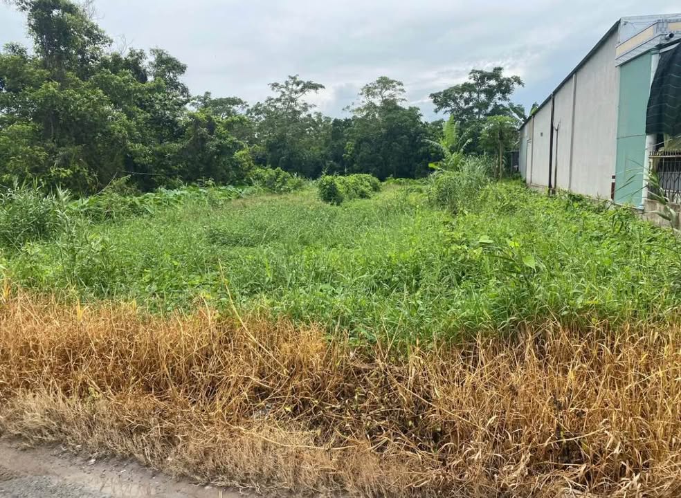 Đất nền tại phường Hưng Phú, Cần Thơ 133m² giá 1.65 tỷ - Pháp lý rõ ràng!