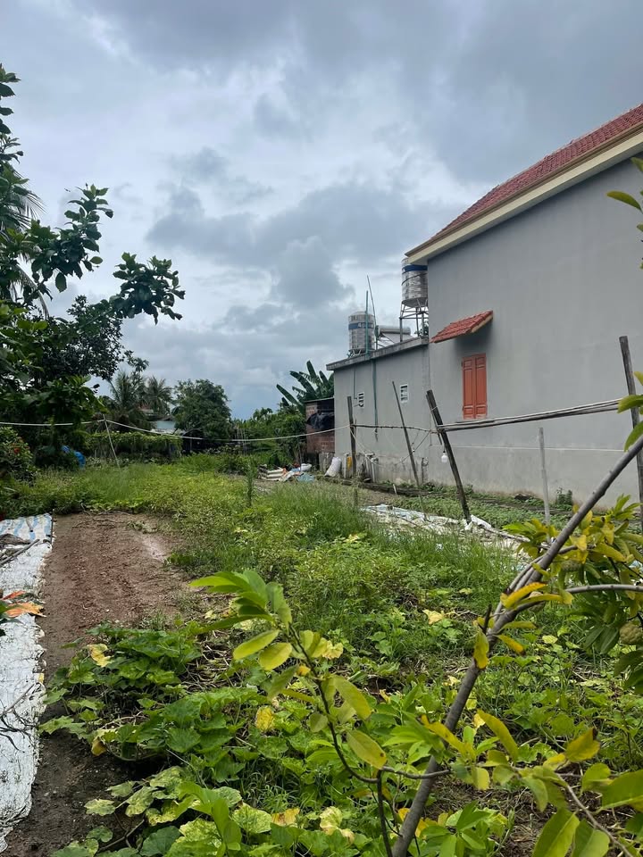 Đất nền Phong Hải, Quảng Yên 117m² giá 1.17 tỷ - 3 mặt thoáng view sông