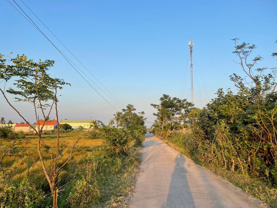 Đất nền Trục thông đê Xã Tiền Phong 300m² - Giá tốt thỏa thuận!